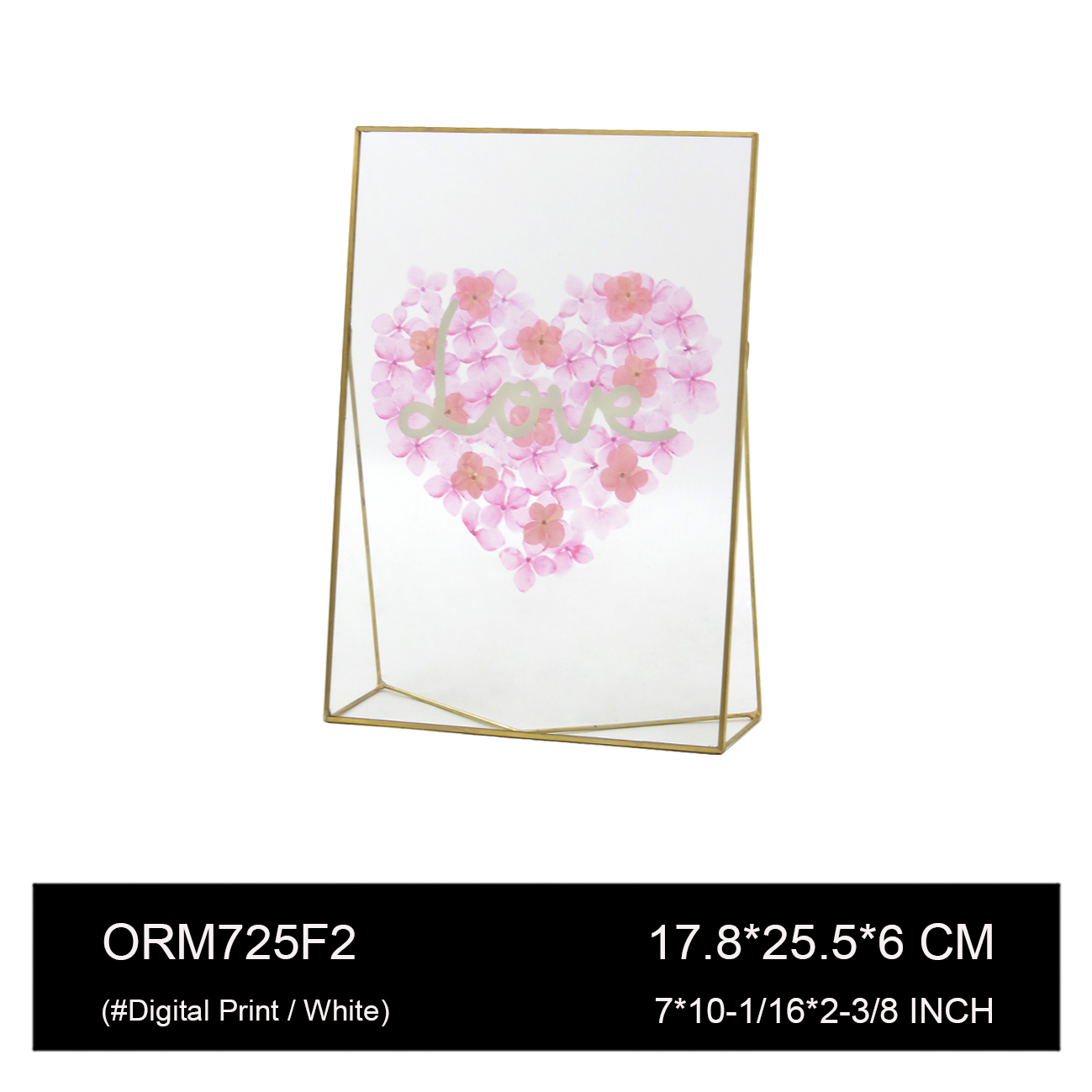 ORM725F2